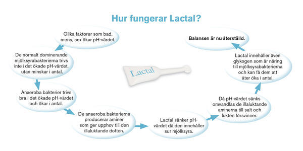 Så återställer Lactal den bakteriella balansen